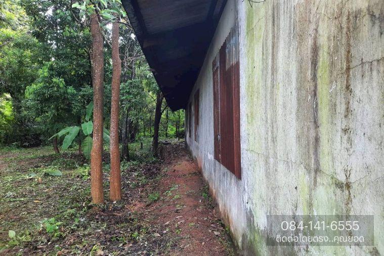 รูป AL-2-0054|บ้านพักอาศัยชั้นเดียว นครพนม-บึงกาฬ (212) ต. บ้านแพง อ.บ้านแพง จ.นครพนม(ราคา 490,000 บาท ) - รูปที่ 3/12