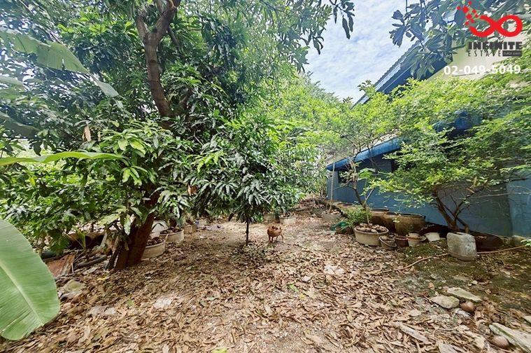 รูป ขายที่ดิน 213 ตรว. ถนนสามัคคี-ติวานนท์ ซอยสามัคคี 26 นนทบุรี ทำเลศักยภาพ เข้า-ออกได้ทั้งถนนประชาชื่นและถนนติวานนท์ - รูปที่ 6/11