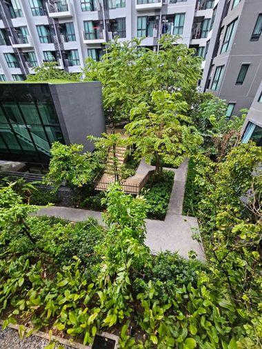 picture Kave Town Space   Condo For Rent / Line : @mintocondo - 7/10