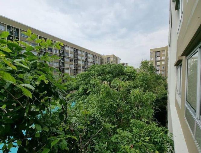 picture 🎸🎸🎸plum rangsit rangsit tower Bfloo 3 r5 🎸🎸🎸 - 21/28