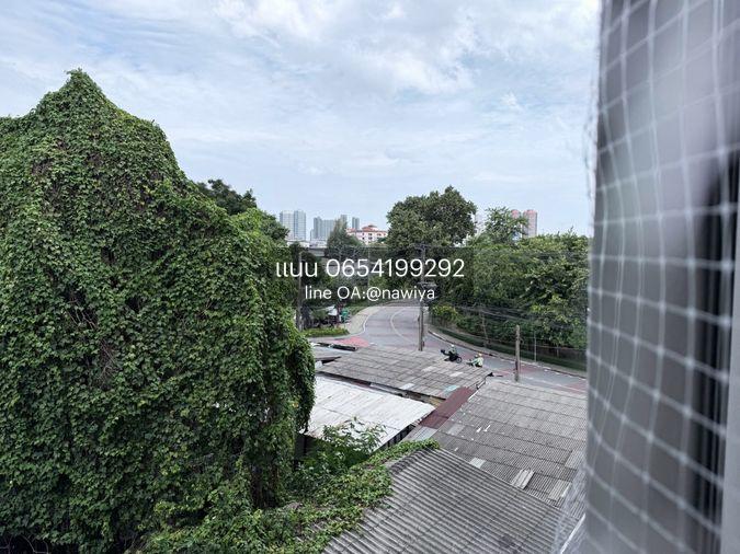 picture For sale : The Nest Sukhumvit 64 - 15/16