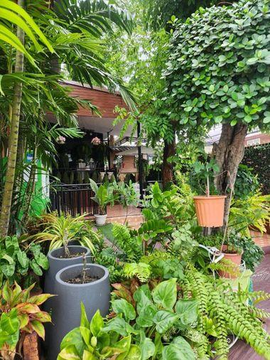 picture Apartment building for sale, On Nut - Phra Khanong area. - 3/9