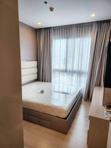 รูป  2 ห้องนอน🦊HunterCondo🦊เดอะ ซิกเนเจอร์ บาย เออร์บาโน่ - รูปที่ 1/13