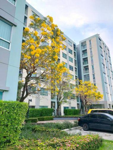 รูป 2 ห้องนอน🦊HunterCondo🦊ลาดกระบัง 💥ลุมพินี วิลล์ อ่อนนุช - ลาดกระบัง🔴🟢🟡 - รูปที่ 13/13