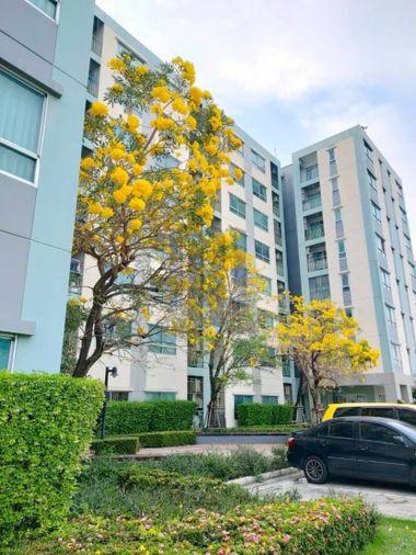 รูป 2 ห้องนอน🦊HunterCondo🦊ลาดกระบัง 💥ลุมพินี วิลล์ อ่อนนุช - ลาดกระบัง🔴🟢🟡 - รูปที่ 13/13