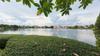 listing thumbnail image 31