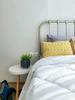 listing thumbnail image 9