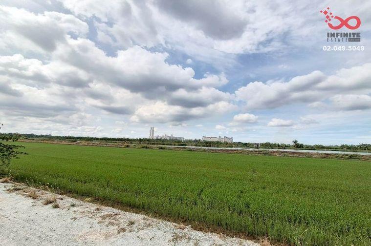 รูป ขายที่ดิน 200 ตร.ว. บางเสาธง สมุทรปราการ หลัง ม.ABAC สุวรรณภูมิ - รูปที่ 2/5