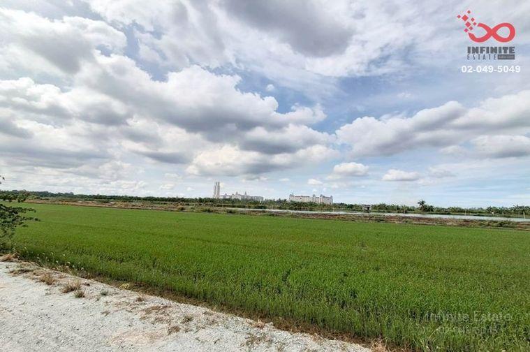 รูป ขายที่ดิน 200 ตร.ว. บางเสาธง สมุทรปราการ หลัง ม.ABAC สุวรรณภูมิ - รูปที่ 2/5