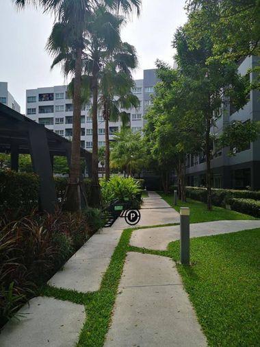 picture Elio Del Ray for rent fully furnished  - 12/13