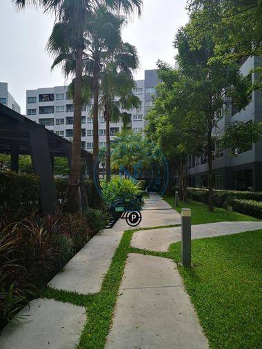 picture Elio Del Ray for rent fully furnished - 12/13