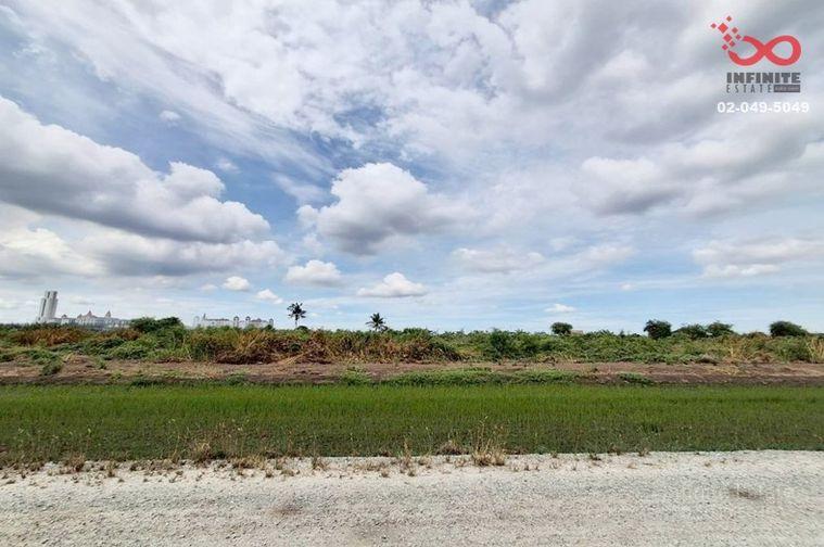 รูป ขายที่ดิน 200 ตร.ว. บางเสาธง สมุทรปราการ หลัง ม.ABAC สุวรรณภูมิ - รูปที่ 4/5