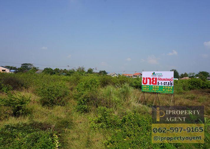 รูป ขายที่ดิน ราชพฤกษ์ - ถนน 346 บางหลวง ปทุมธานี - รูปที่ 3/17