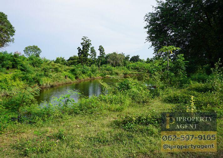 รูป ขายที่ดิน ซอยโรงไฟฟ้าแก่งคอย 2 แก่งคอย สระบุรี - รูปที่ 3/24