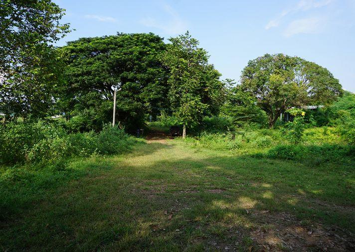 รูป ขายที่ดิน ซอยโรงไฟฟ้าแก่งคอย 2 แก่งคอย สระบุรี - รูปที่ 4/24