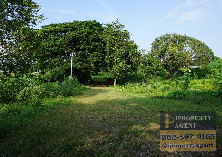 รูป ขายที่ดิน ซอยโรงไฟฟ้าแก่งคอย 2 แก่งคอย สระบุรี - รูปที่ 4/24