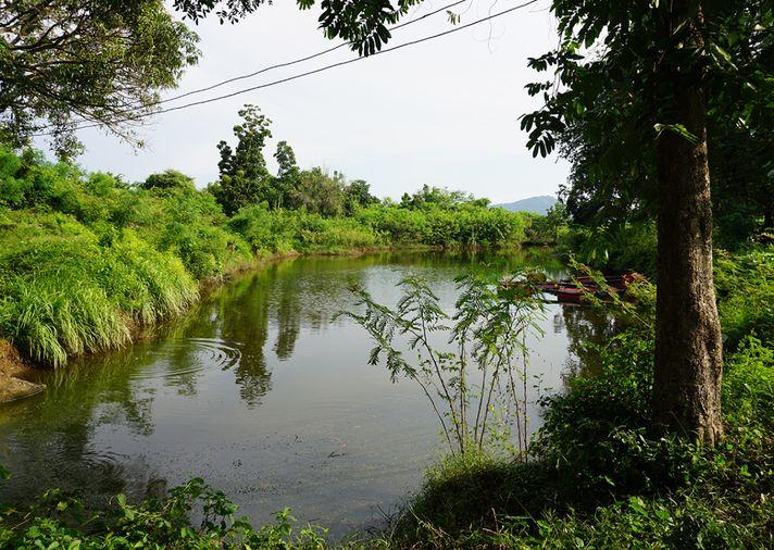 รูป ขายที่ดิน ซอยโรงไฟฟ้าแก่งคอย 2 แก่งคอย สระบุรี - รูปที่ 6/24