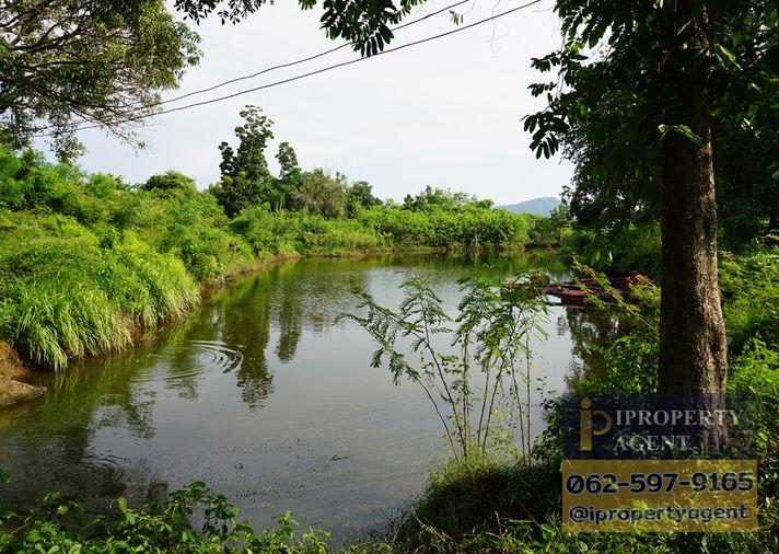 รูป ขายที่ดิน ซอยโรงไฟฟ้าแก่งคอย 2 แก่งคอย สระบุรี - รูปที่ 6/24