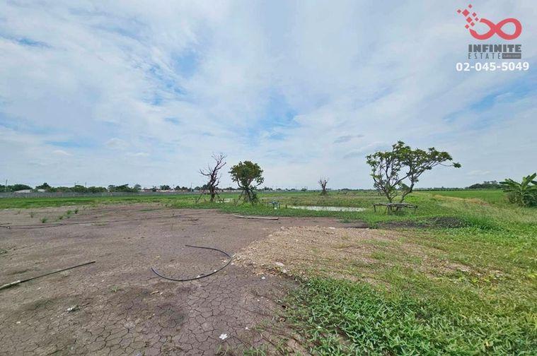 รูป ขายที่ดิน โคกหนองนา ลำลูกกา คลอง 11 ใกล้กรุงเทพ เหมาะปลูกบ้านหรือสร้างโครงการ - รูปที่ 7/10