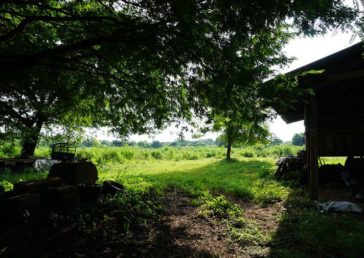 รูป ขายที่ดิน ซอยโรงไฟฟ้าแก่งคอย 2 แก่งคอย สระบุรี - รูปที่ 5/24