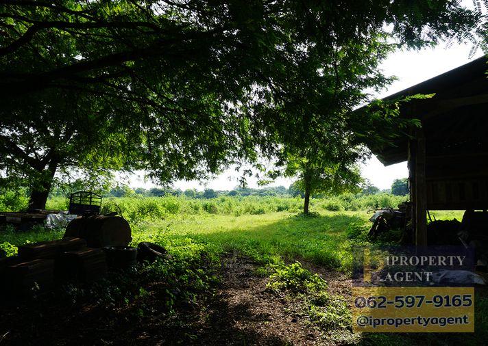 รูป ขายที่ดิน ซอยโรงไฟฟ้าแก่งคอย 2 แก่งคอย สระบุรี - รูปที่ 5/24