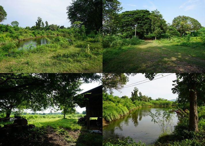รูป ขายที่ดิน ซอยโรงไฟฟ้าแก่งคอย 2 แก่งคอย สระบุรี - รูปที่ 7/24
