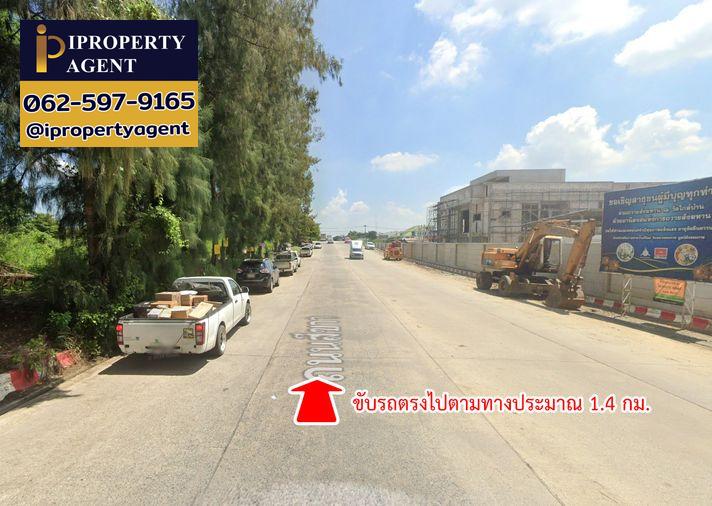 รูป ขายที่ดิน ซอยเทพกุญชร 34 ตลาดไท คลองหลวง ปทุมธานี - รูปที่ 15/20