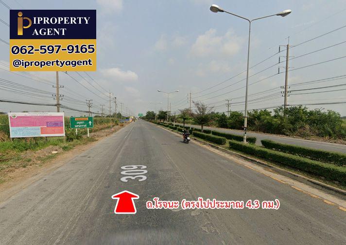 รูป ขายที่ดิน ถนนโรจนะ ต.ลำตาเสา อ.วังน้อย จ.พระนครศรีอยุธยา - รูปที่ 13/15