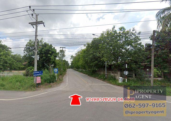 รูป ขายที่ดิน ตำบลตาลเลียน อำเภอกุดจับ จังหวัดอุดรธานี - รูปที่ 10/14