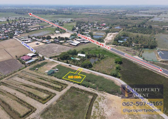 picture Land for sale, Had Chao Samran, Phetchaburi - 2/20