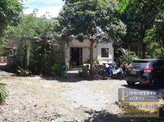 รูป ขายบ้านพร้อมที่ดิน ซอยวัดวังหิน สุขุมวิท ศรีราชา ชลบุรี - รูปที่ 4/11