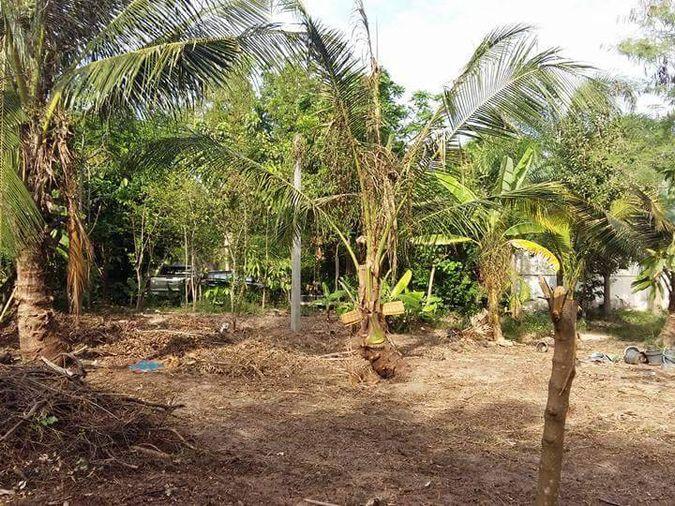 รูป ขายบ้านพร้อมที่ดิน ซอยวัดวังหิน สุขุมวิท ศรีราชา ชลบุรี - รูปที่ 3/11