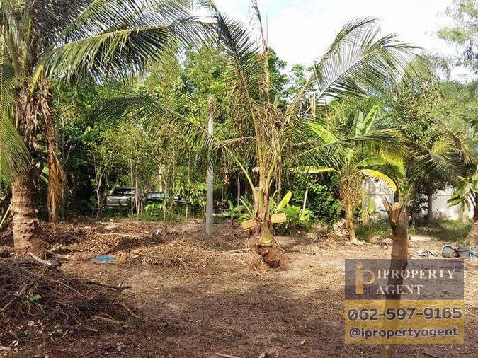 รูป ขายบ้านพร้อมที่ดิน ซอยวัดวังหิน สุขุมวิท ศรีราชา ชลบุรี - รูปที่ 3/11