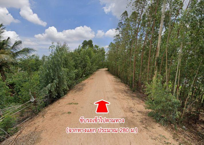 รูป ขายที่ดิน คลองละว้า บ้านไผ่ ขอนแก่น ราคาถูก - รูปที่ 15/16
