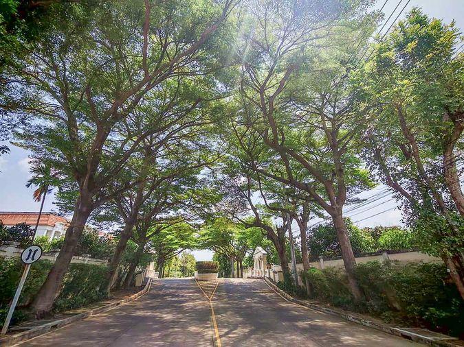 รูป หลังมุมแปลงสวย 5 นอน ยินดีต้อนรับสัตว์เลี้ยง! ปล่อยเช่า Urban Sathorn ใกล้ BTS บางหว้า - รูปที่ 14/15