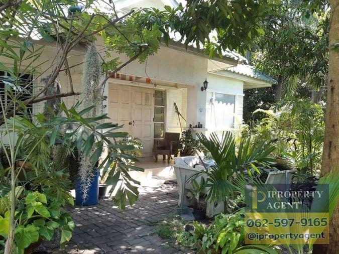 รูป ขายบ้านพร้อมที่ดิน ซอยวัดวังหิน สุขุมวิท ศรีราชา ชลบุรี - รูปที่ 2/11