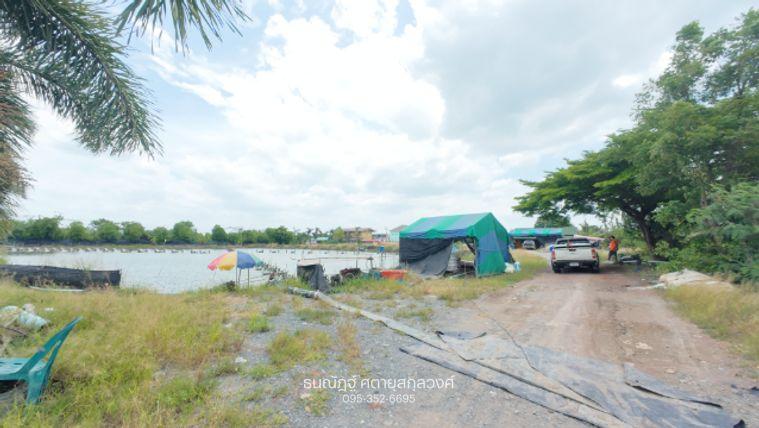 รูป แปลงเดียวครบ! ที่ดินพร้อมบ่อกุ้ง เหมาะลงทุน เกษตร หรือสร้างรายได้ - รูปที่ 8/16