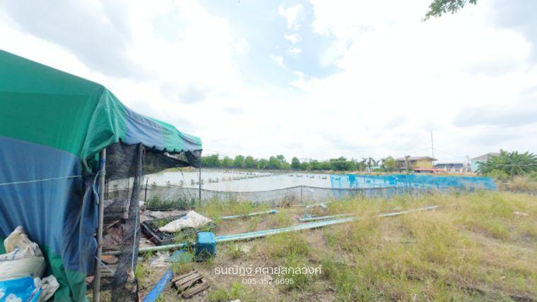 รูป แปลงเดียวครบ! ที่ดินพร้อมบ่อกุ้ง เหมาะลงทุน เกษตร หรือสร้างรายได้ - รูปที่ 4/16