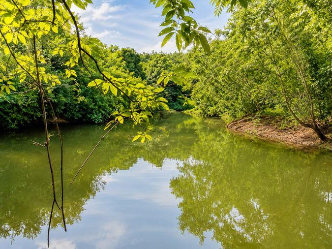 รูป สวนทุเรียน มังคุด ผสมพร้อมบ้าน ทุ่งเบญจา อำเภอท่าใหม่ จังหวัดจันทบุรี - รูปที่ 2/9