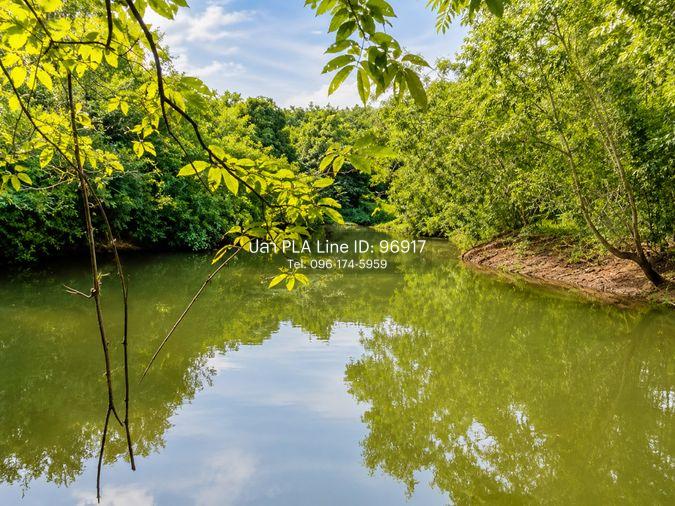 รูป สวนทุเรียน มังคุด ผสมพร้อมบ้าน ทุ่งเบญจา อำเภอท่าใหม่ จังหวัดจันทบุรี - รูปที่ 2/9