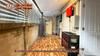 listing thumbnail image 31