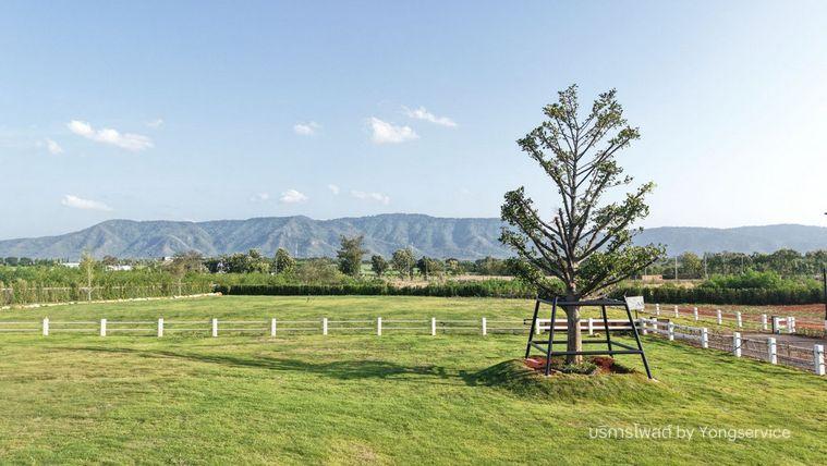 รูป Call : 092-929-6575 ขายที่ดินเขาใหญ่ ปากช่อง ถนนเส้นทอสคาน่า วิวอุทยานเขาใหญ่ และ Toscsna 180 องศา ที่ดินถมแล้ว 1-2 เมตร พร้อมปลูกสร้าง - รูปที่ 5/12