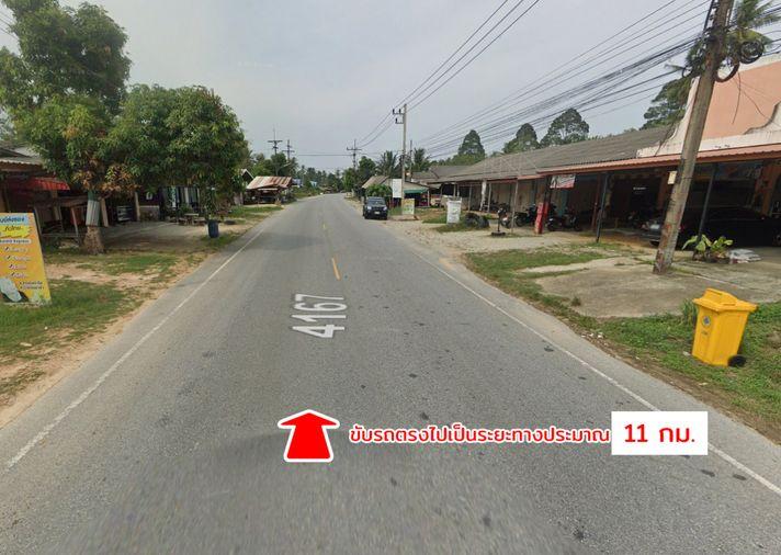 รูป ขายที่ดิน ต.ดอนทราย อ.ไม้แก่น จ.ปัตตานี - รูปที่ 13/20