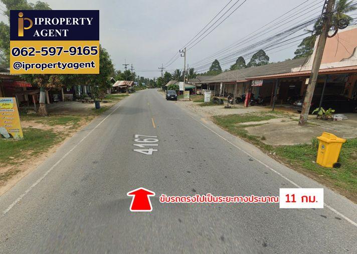 รูป ขายที่ดิน ต.ดอนทราย อ.ไม้แก่น จ.ปัตตานี - รูปที่ 13/20