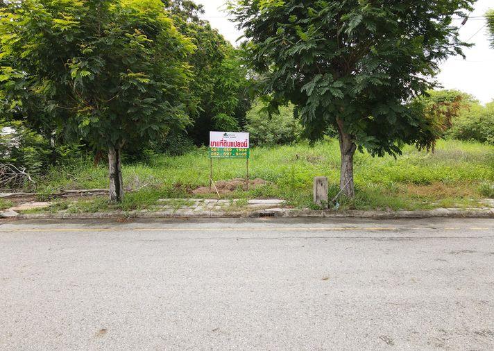 รูป ขายที่ดิน ในโครงการวิจิตรธานี บางนา-ตราด บางปะกง ฉะเชิงเทรา - รูปที่ 4/18