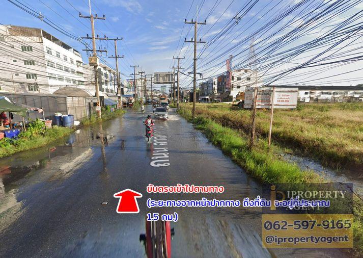 รูป ขายที่ดิน ลำลูกกาคลองสอง ปทุมธานี - รูปที่ 13/17