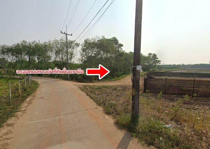 รูป ขายที่ดิน ถนนสุขุมวิท ต.ทุ่งควายกิน อ.แกลง จ.ระยอง - รูปที่ 12/13