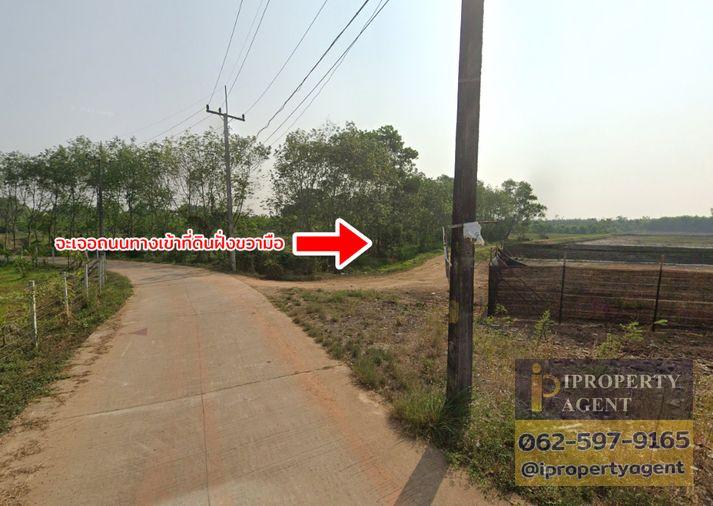 รูป ขายที่ดิน ถนนสุขุมวิท ต.ทุ่งควายกิน อ.แกลง จ.ระยอง - รูปที่ 12/13