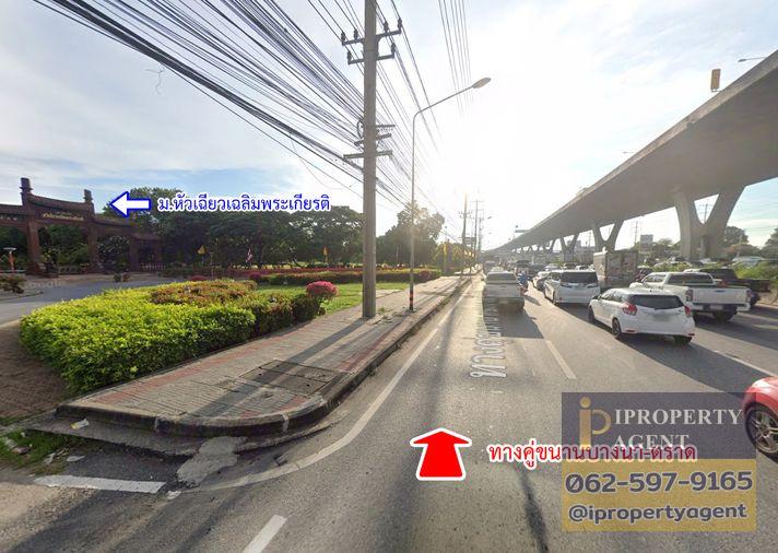 รูป ขายที่ดิน ในโครงการวิจิตรธานี บางนา-ตราด บางปะกง ฉะเชิงเทรา - รูปที่ 9/18
