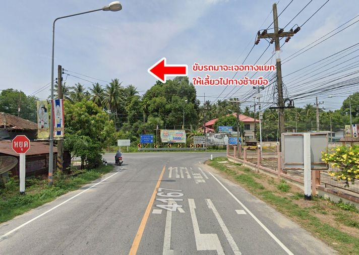 รูป ขายที่ดิน ต.ดอนทราย อ.ไม้แก่น จ.ปัตตานี - รูปที่ 15/20